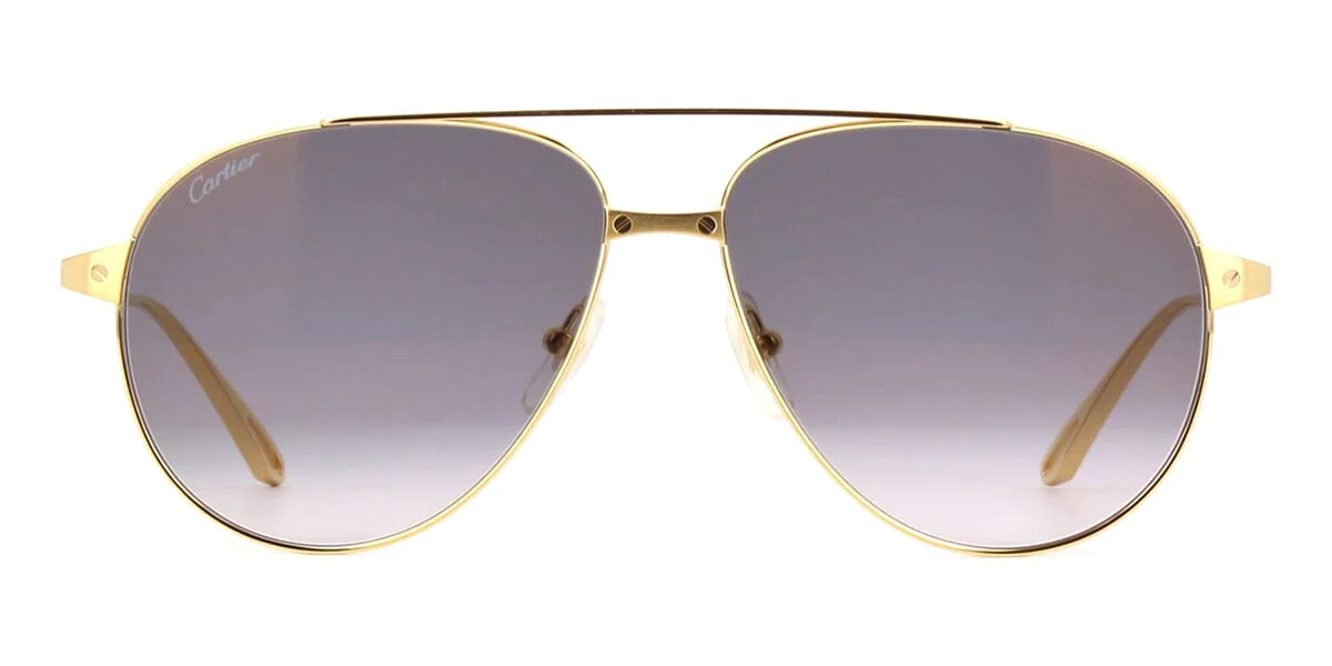 Cartier CT0298S - Image 2