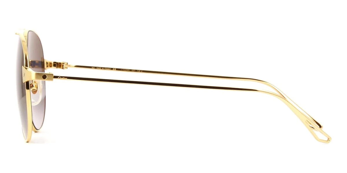 Cartier CT0298S - Image 3