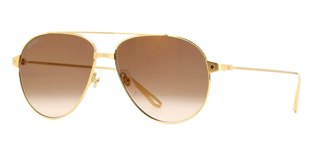 Cartier CT0298S - Image 4
