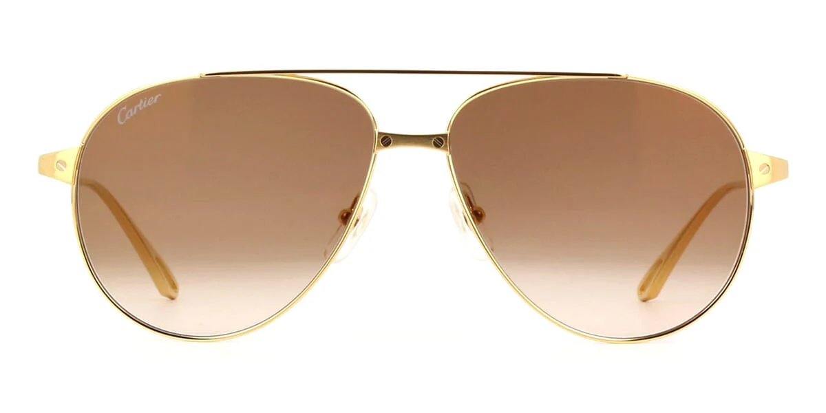 Cartier CT0298S - Image 5
