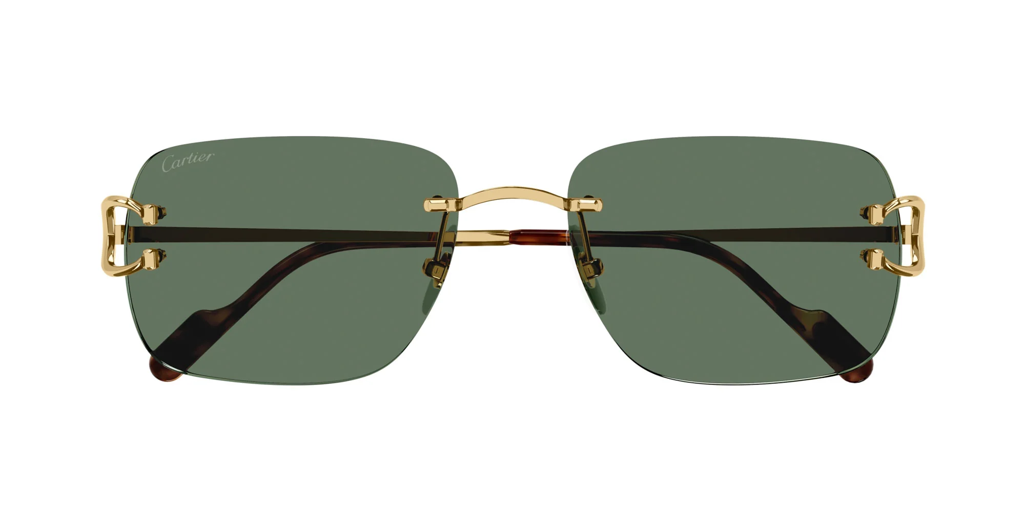 Cartier CT0330S - Image 12