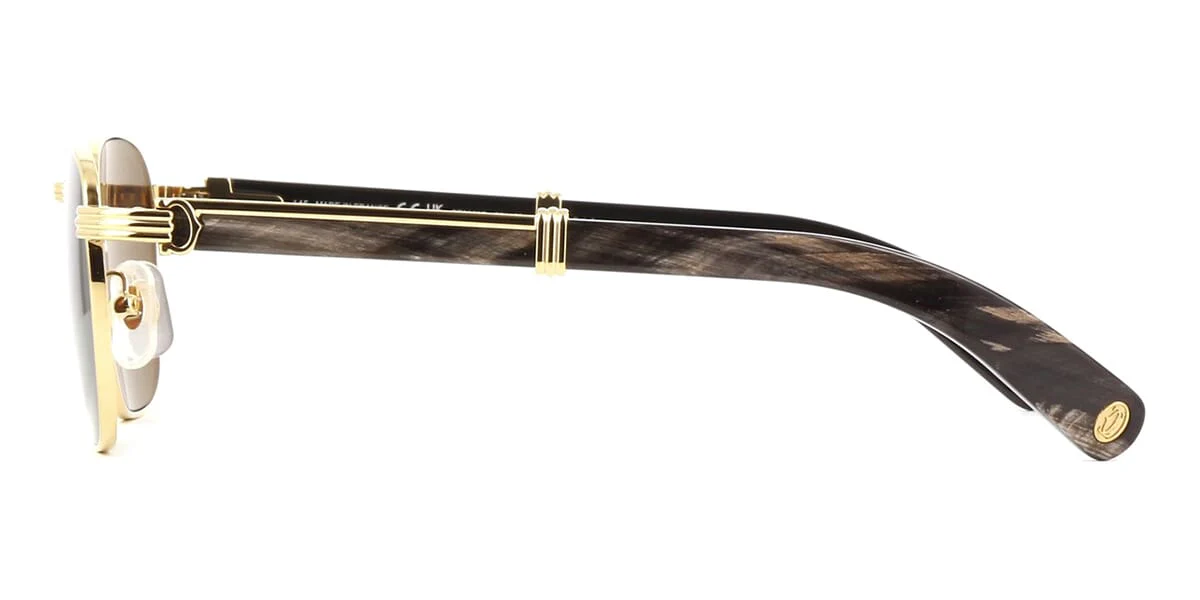 Cartier CT0363S - Image 3