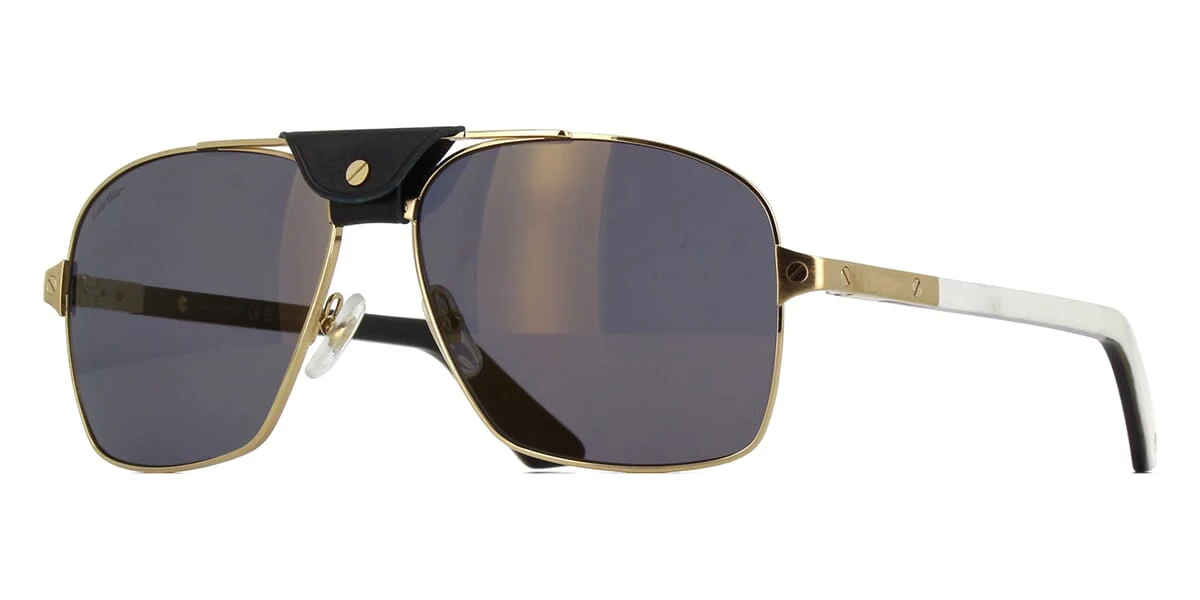 Cartier CT0389S
