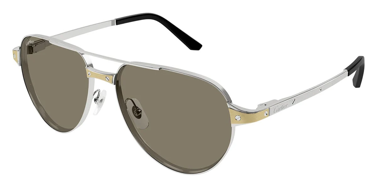 Cartier CT0425S - Image 22