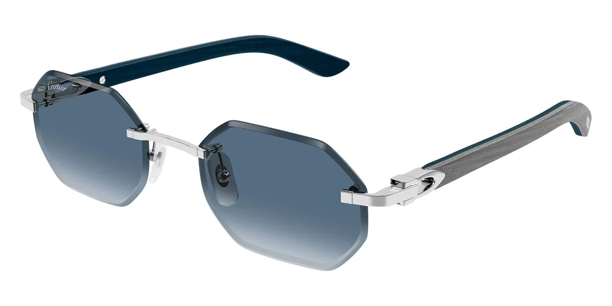 Cartier CT0439S - Image 20