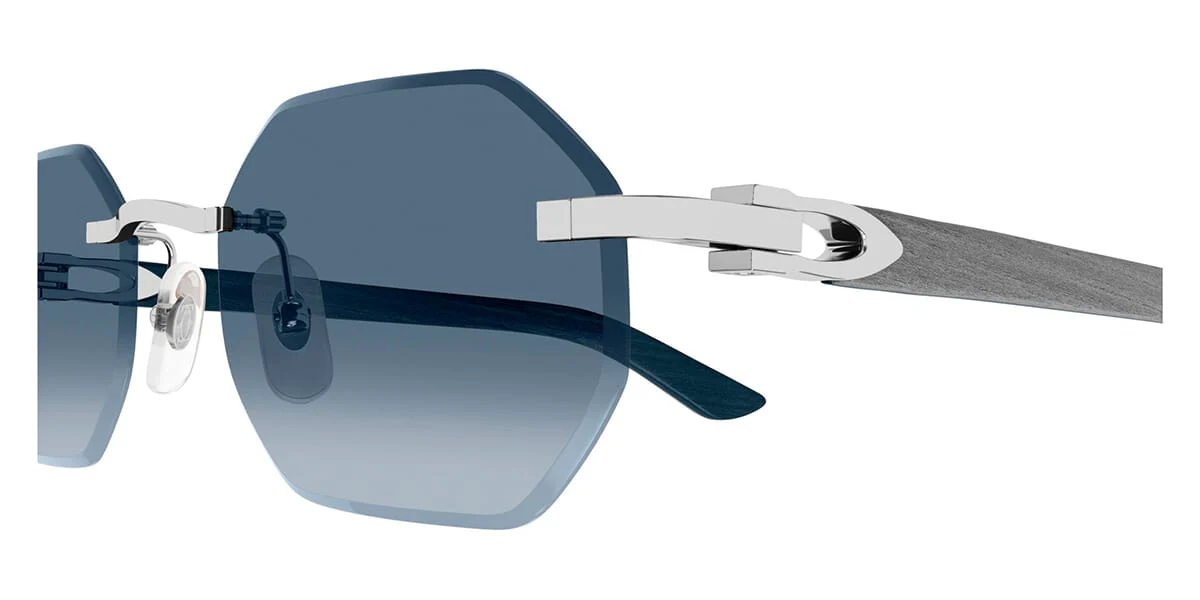 Cartier CT0439S - Image 22