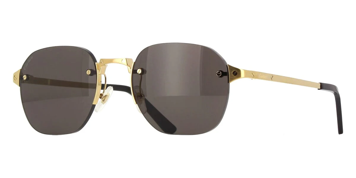 Cartier CT0459S