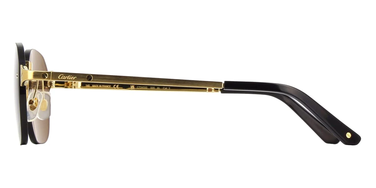 Cartier CT0459S - Image 3