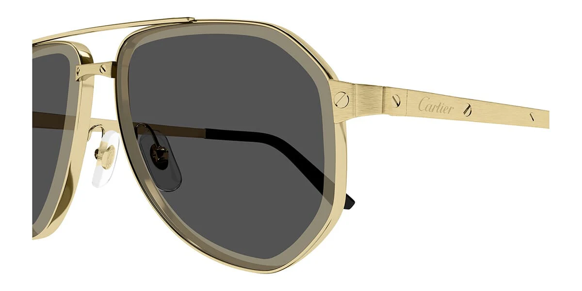 Cartier CT0461S - Image 6