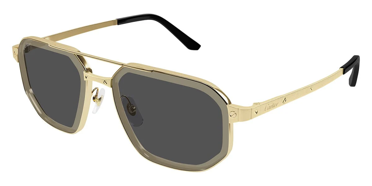 Cartier CT0462S - Image 11