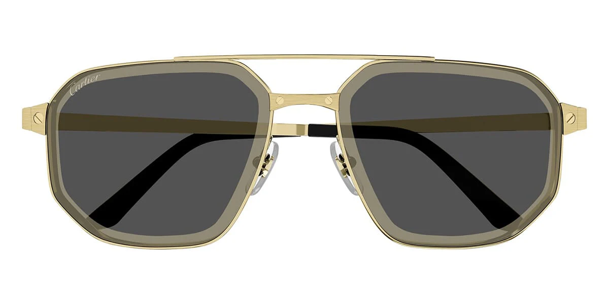 Cartier CT0462S - Image 12