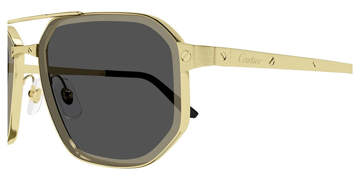 Cartier CT0462S - Image 13