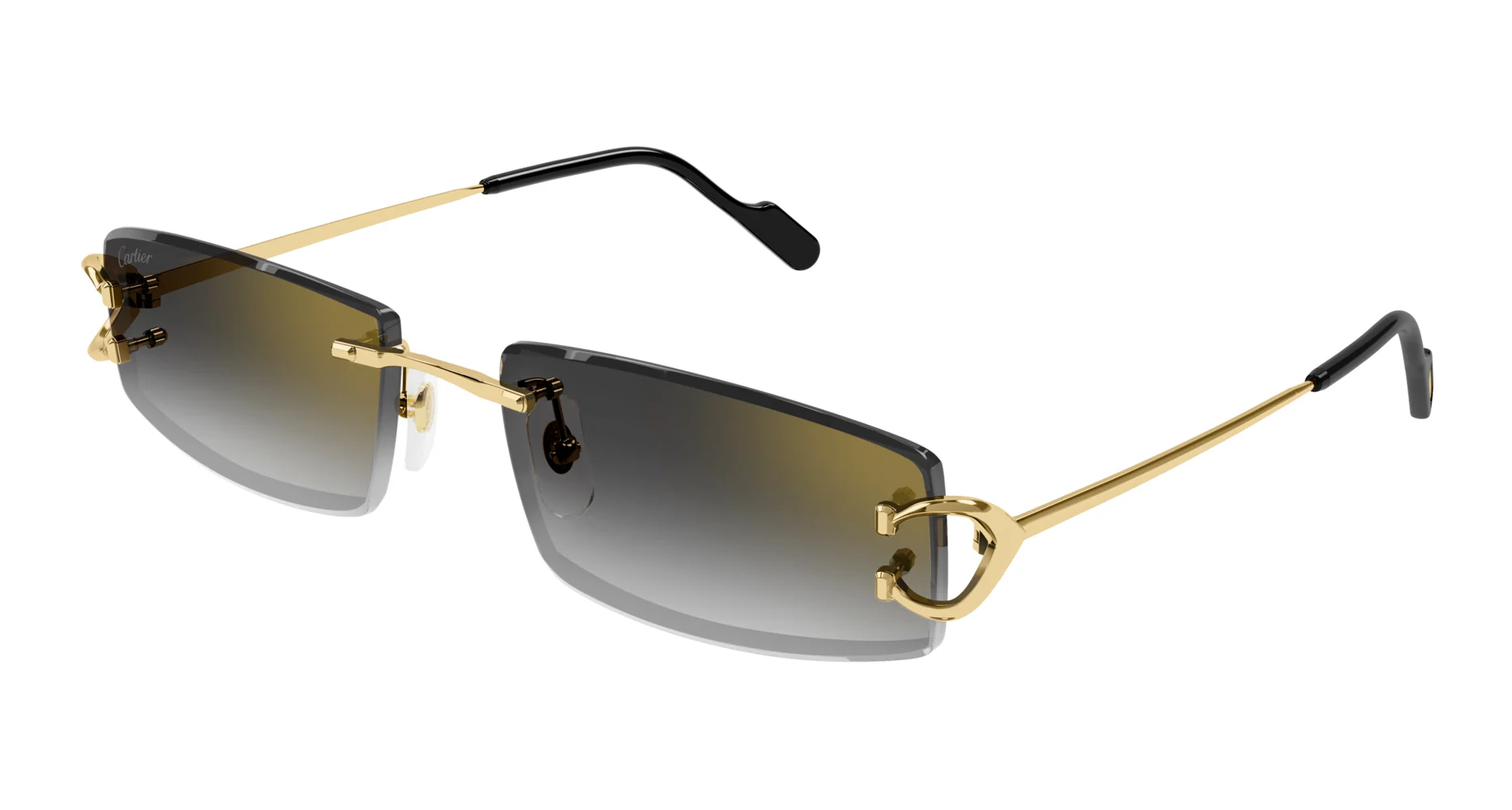 Cartier CT0465S - Image 10
