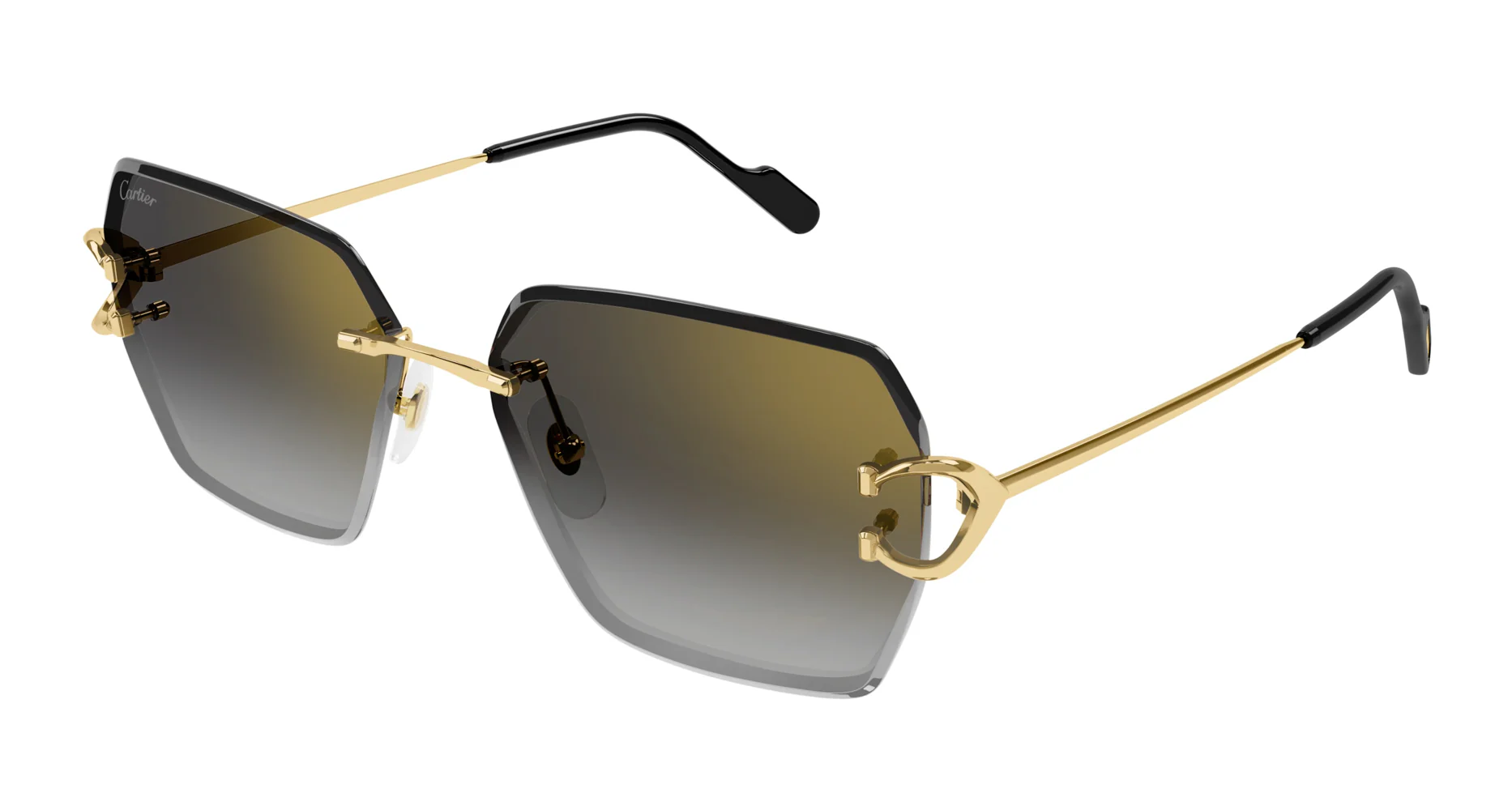 Cartier CT0466S
