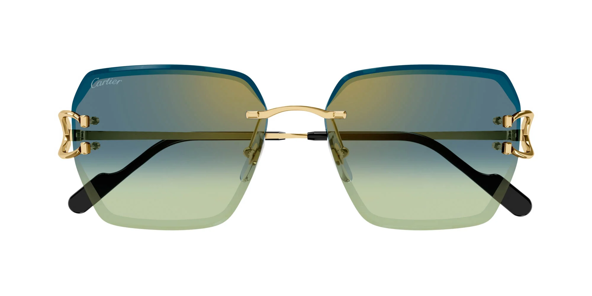 Cartier CT0466S - Image 12