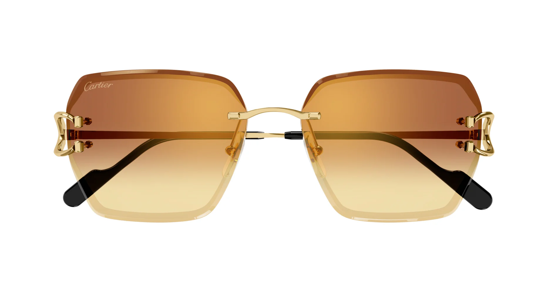Cartier CT0466S - Image 6
