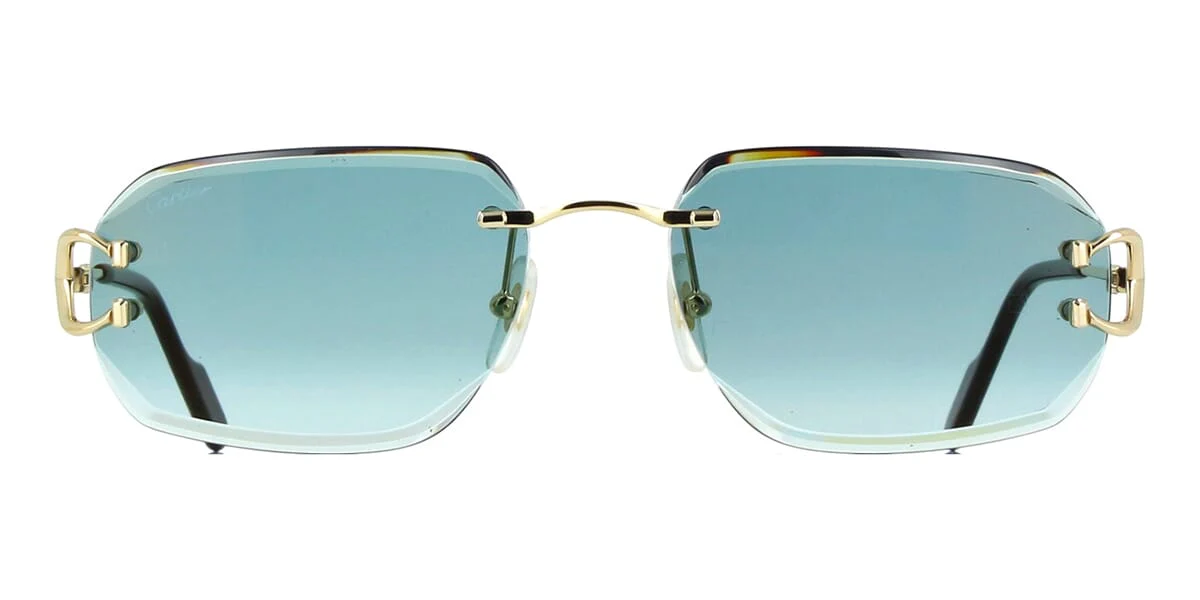 Cartier CT0468S - Image 8