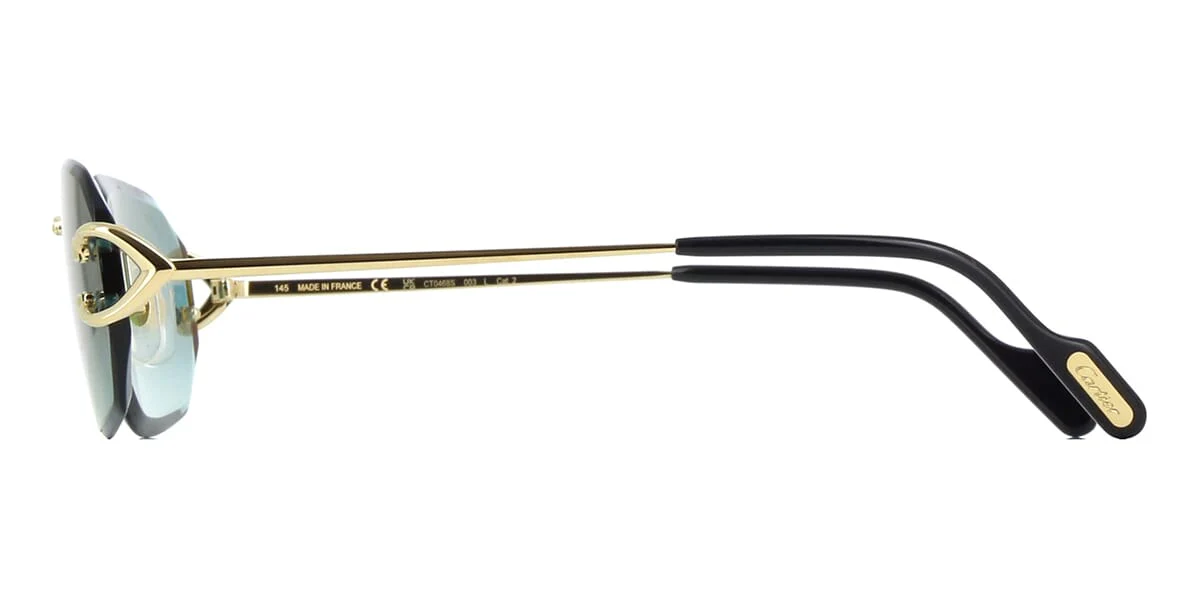 Cartier CT0468S - Image 9
