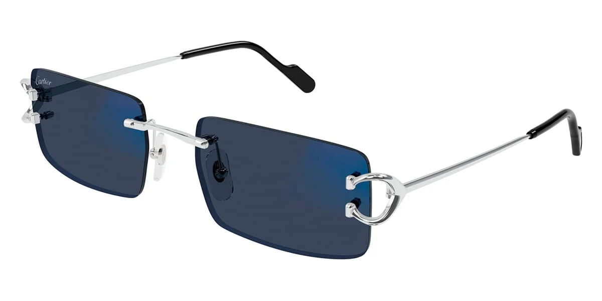 Cartier CT0488S - Image 2