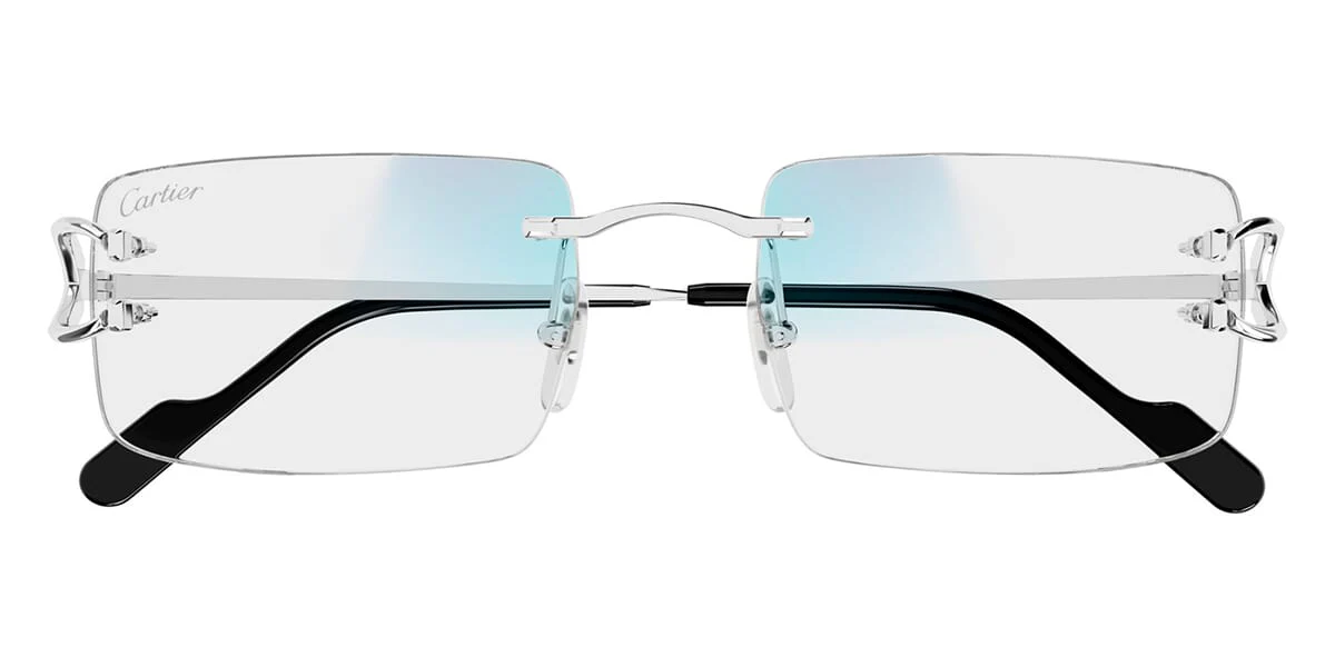 Cartier CT0488S - Image 3