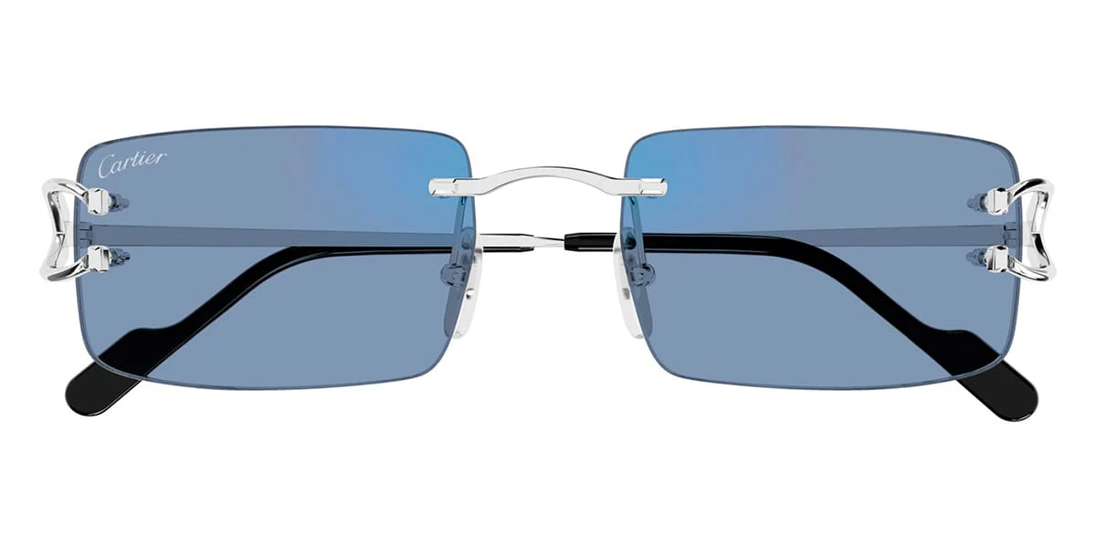 Cartier CT0488S - Image 4