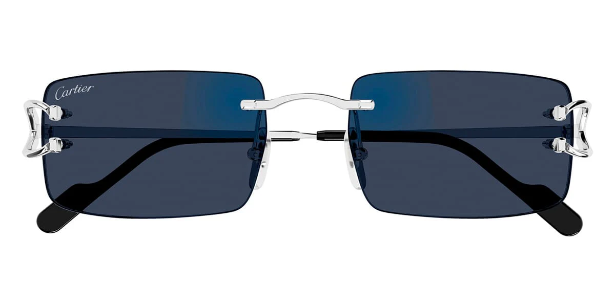 Cartier CT0488S - Image 5