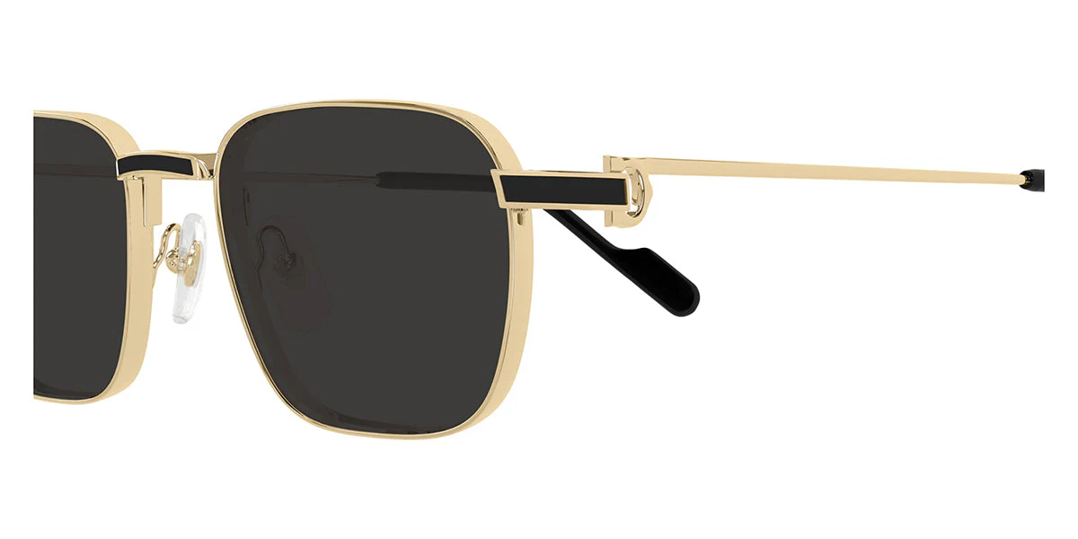Cartier CT0497S - Image 6