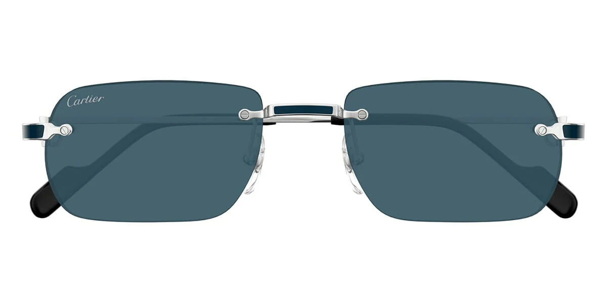 Cartier CT0498S - Image 11