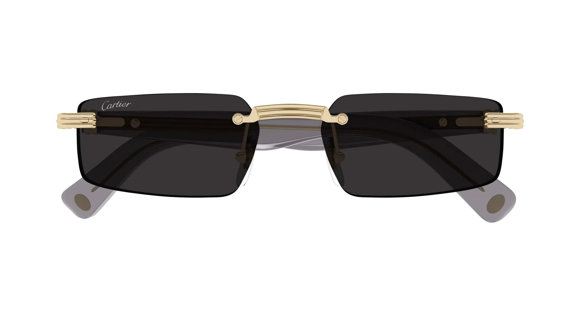 Cartier CT0537S - Image 2