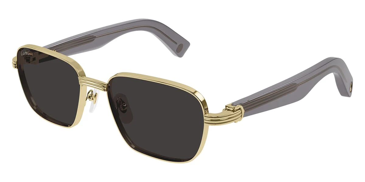 Cartier CT0538S - Image 14