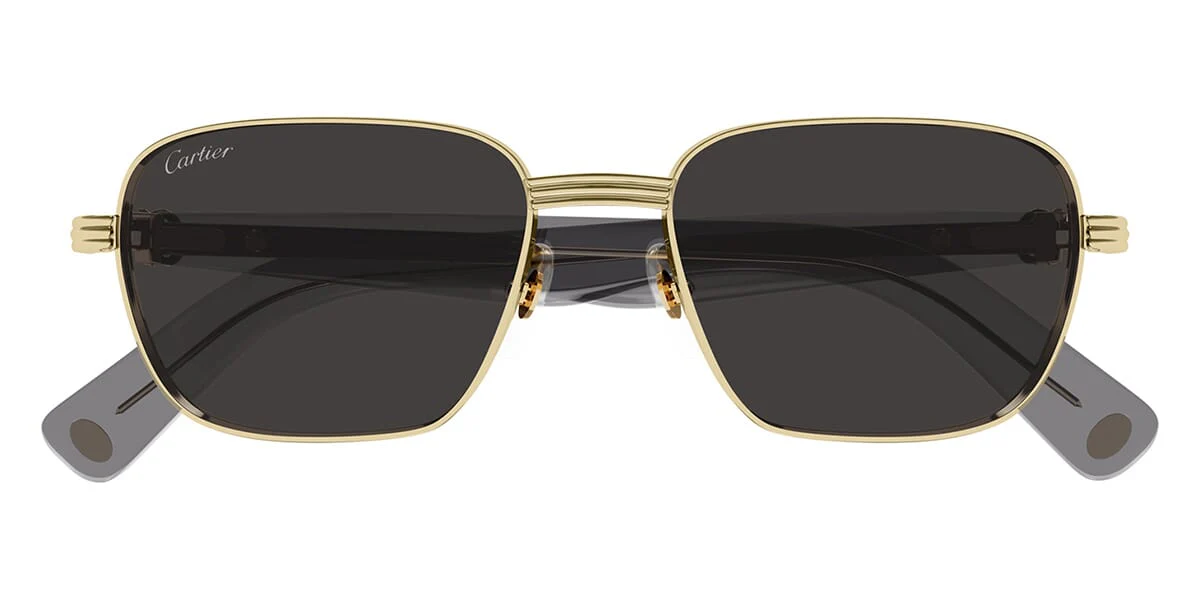 Cartier CT0538S - Image 15