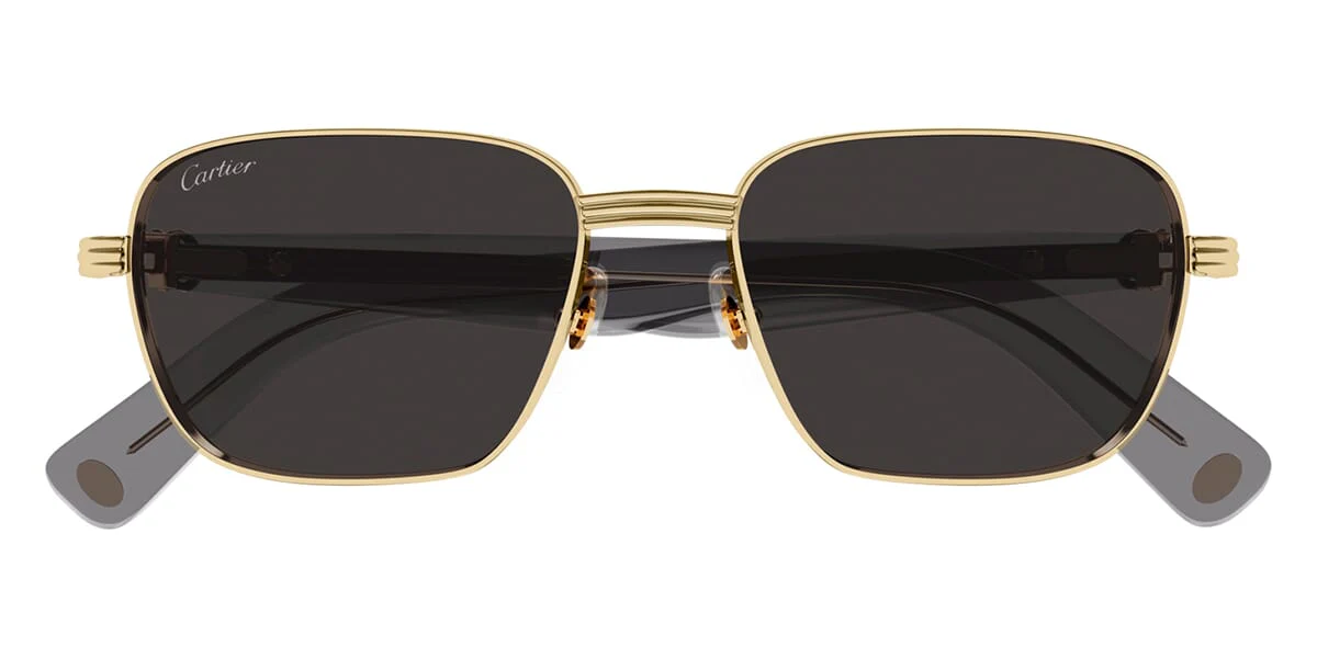 Cartier CT0538S - Image 5