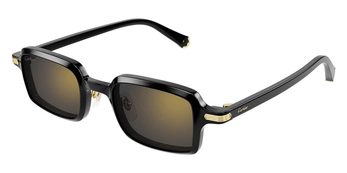 Cartier CT0539S