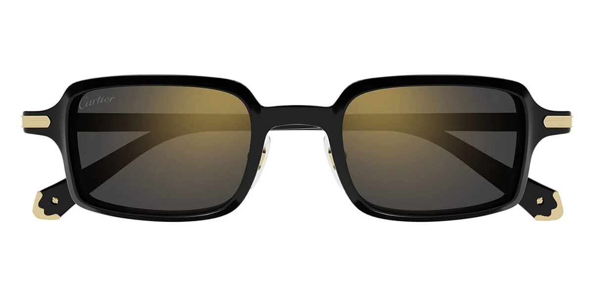 Cartier CT0539S - Image 2