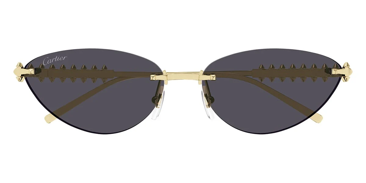 Cartier CT0543S - Image 12