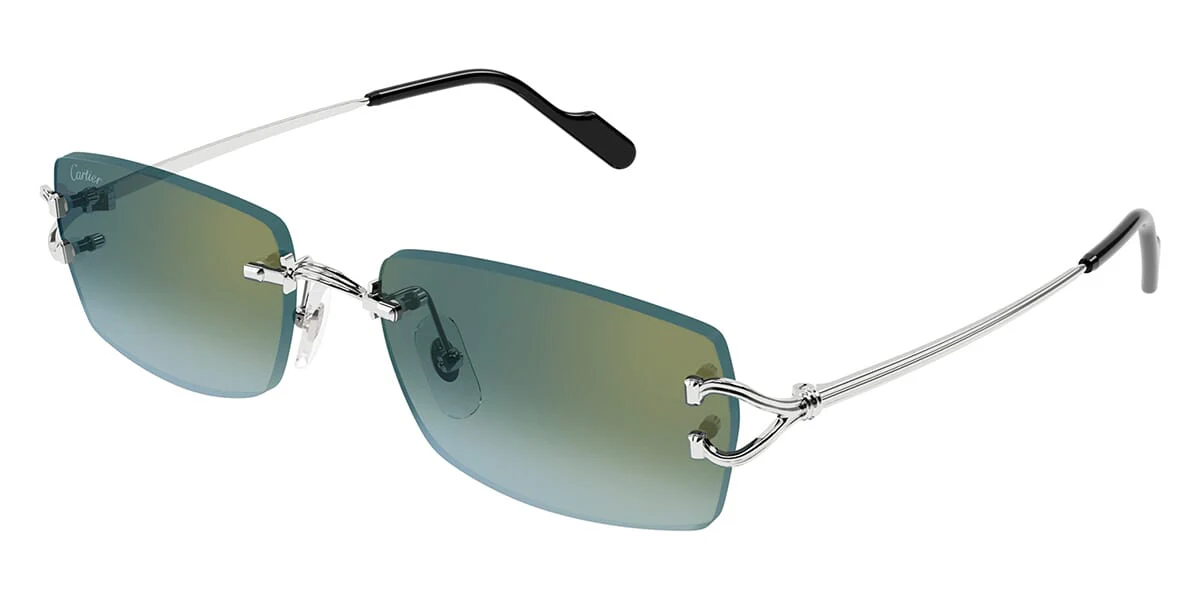 Cartier CT0550S - Image 13
