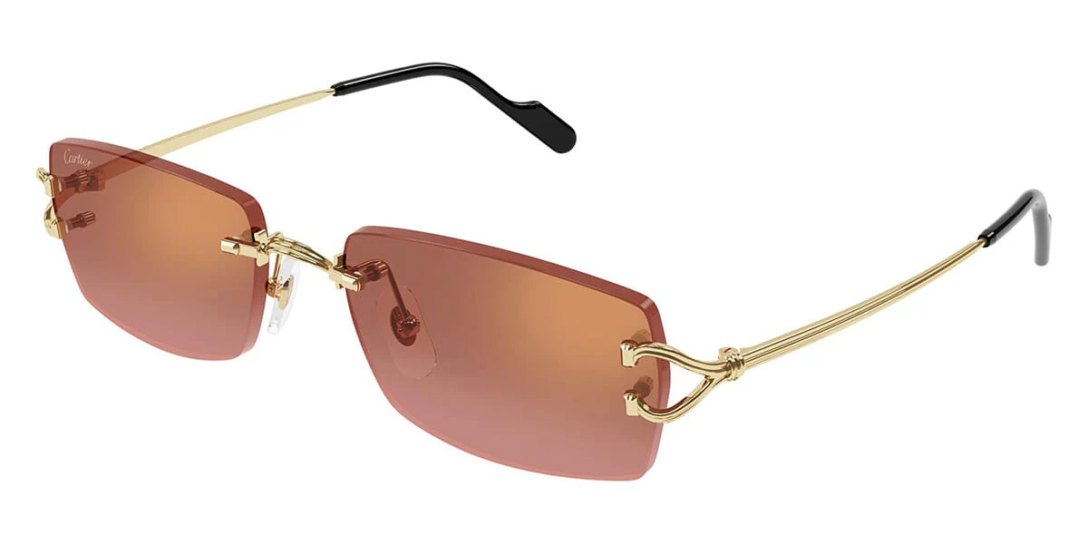 Cartier CT0550S - Image 16