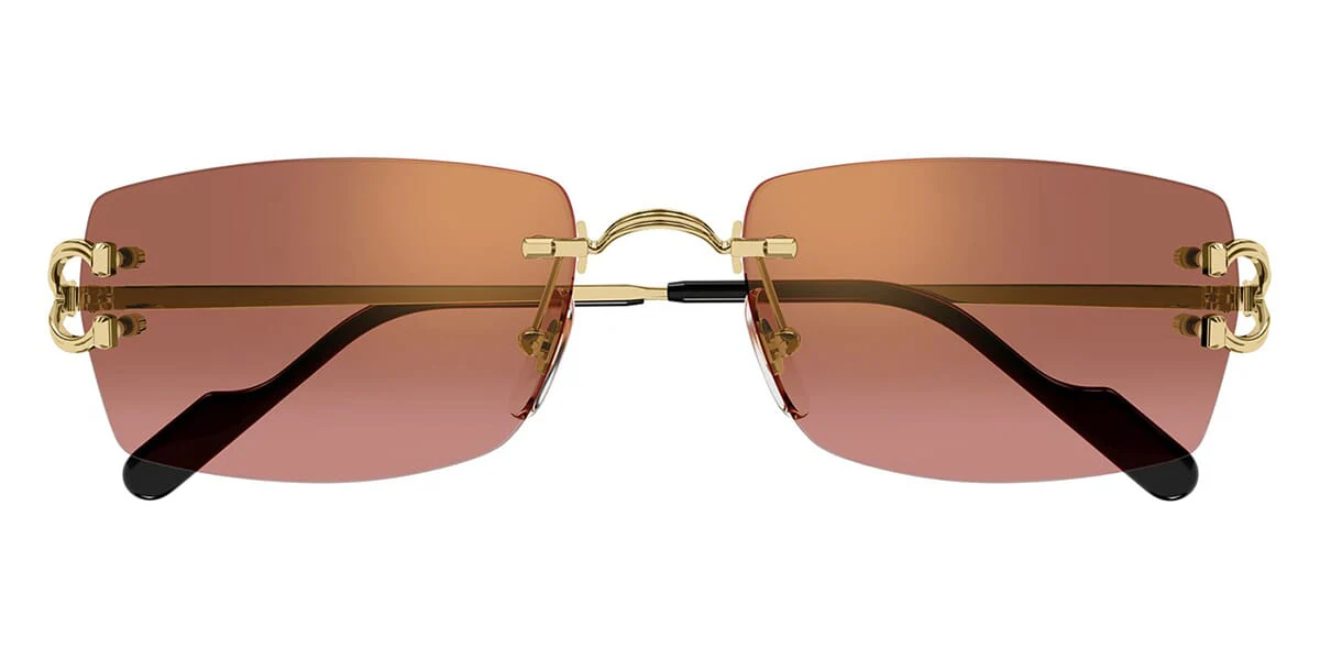 Cartier CT0550S - Image 17