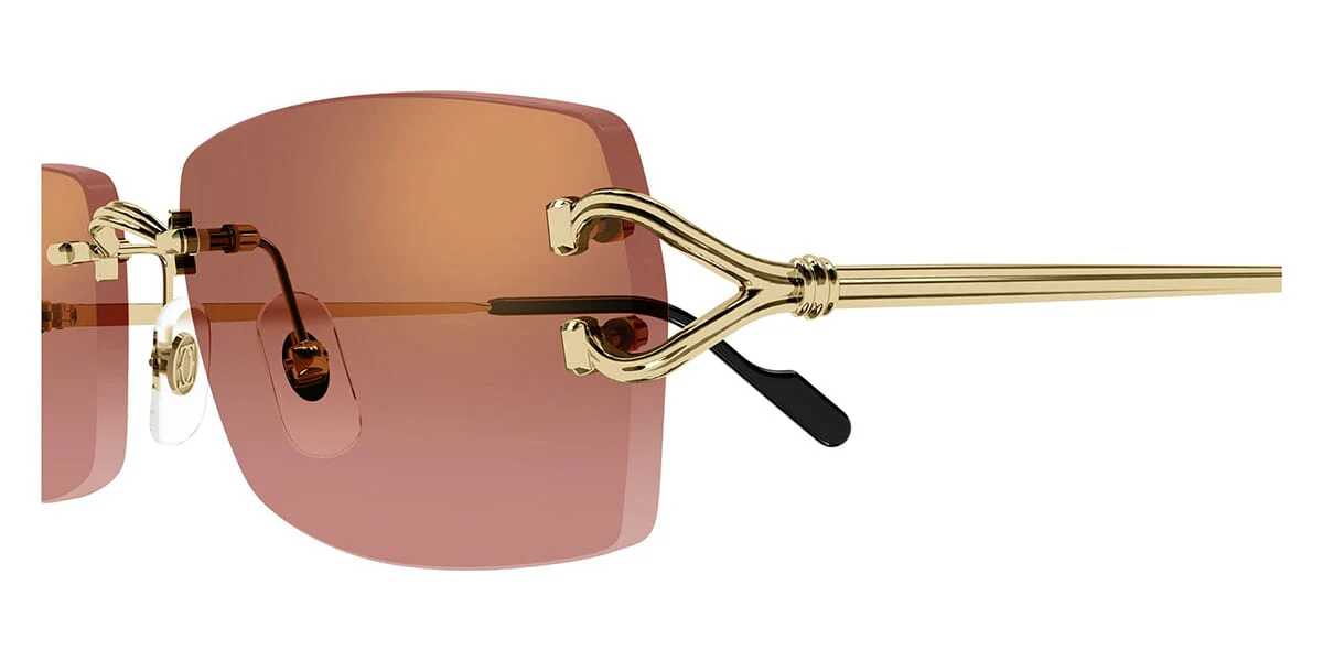 Cartier CT0550S - Image 18