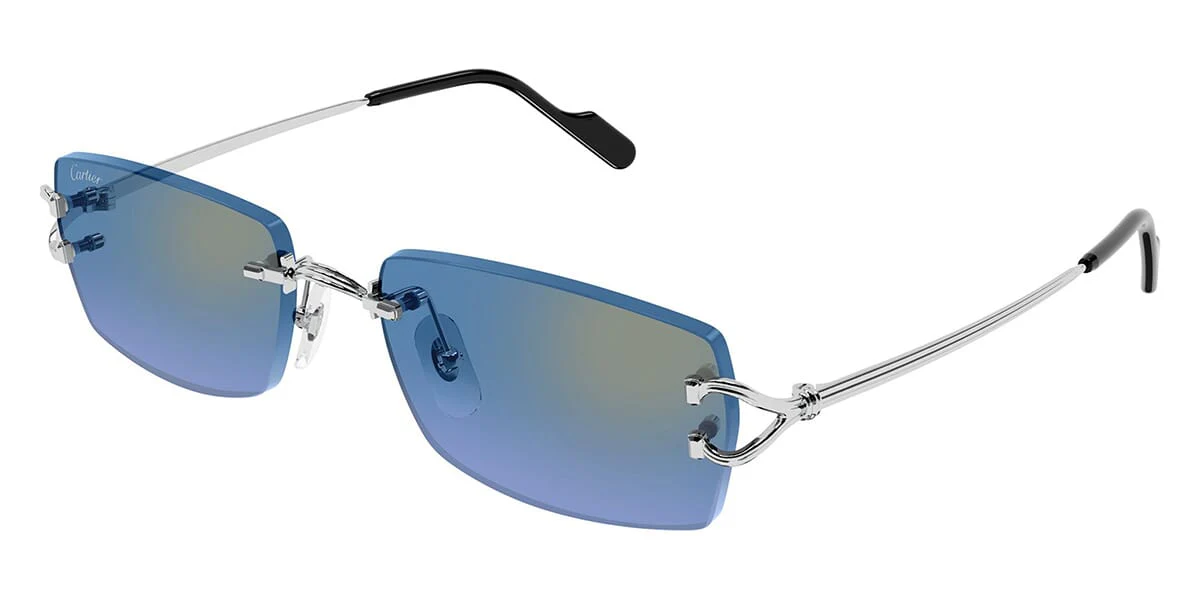 Cartier CT0550S - Image 19