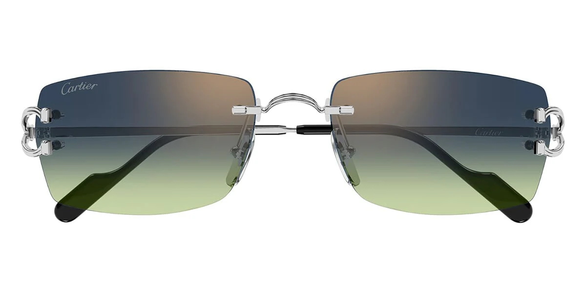 Cartier CT0550S - Image 23