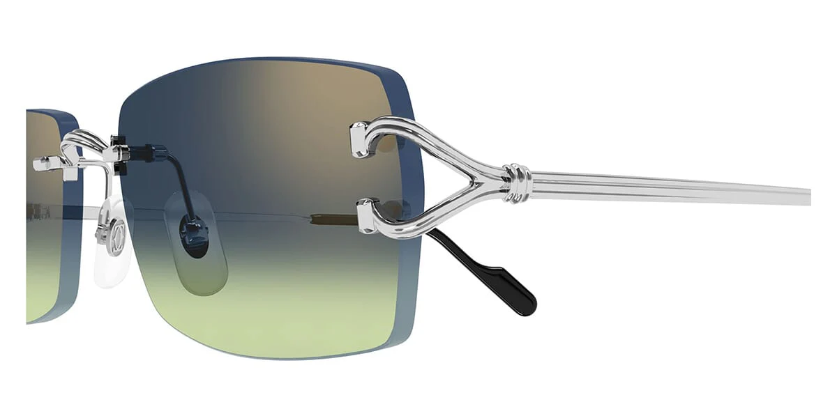 Cartier CT0550S - Image 24