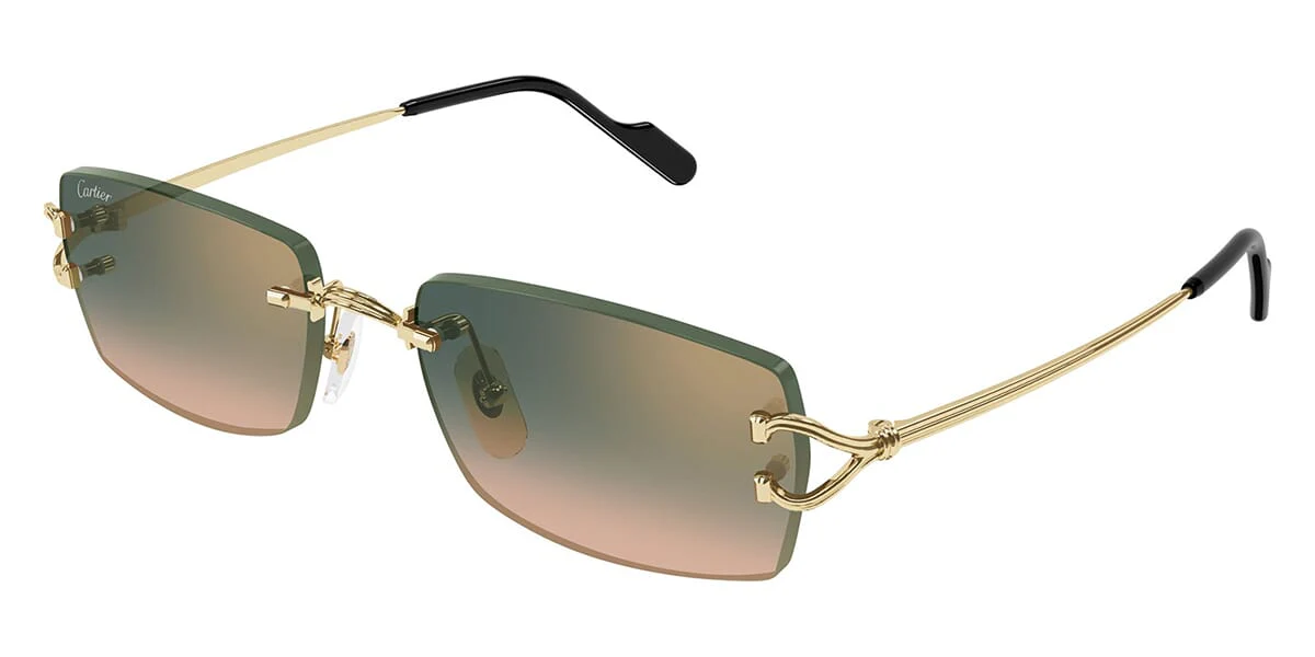 Cartier CT0550S - Image 25