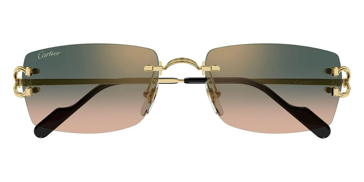 Cartier CT0550S - Image 26