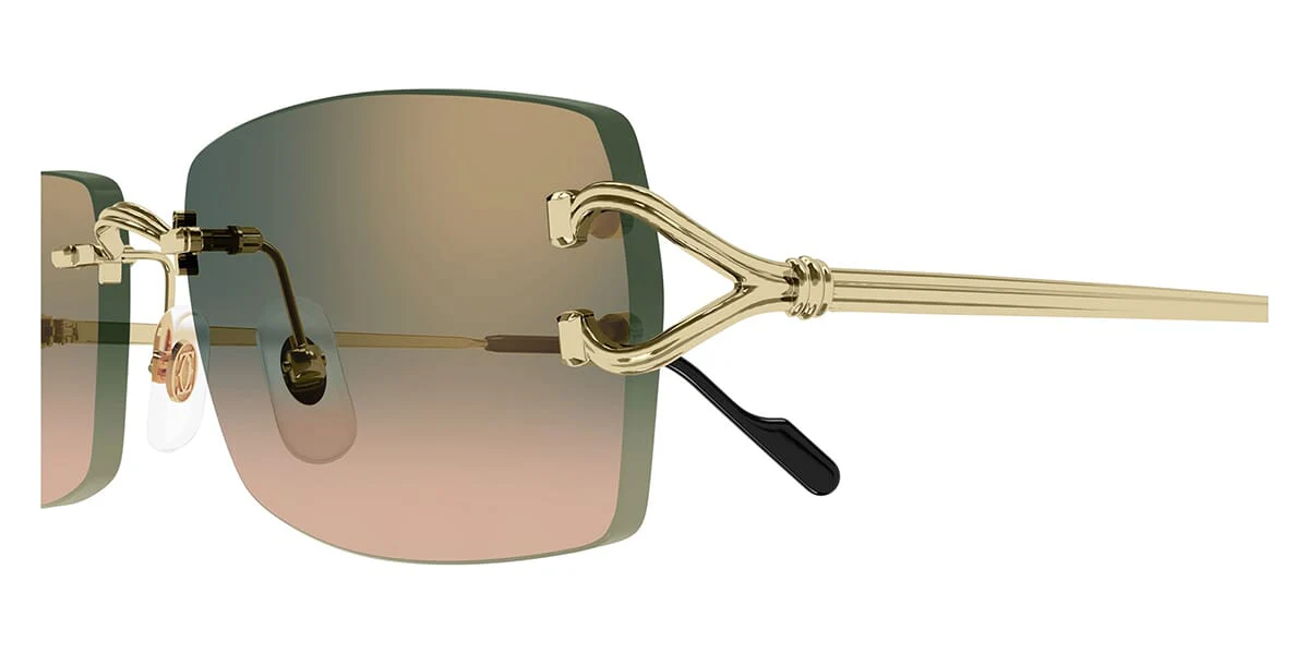 Cartier CT0550S - Image 27