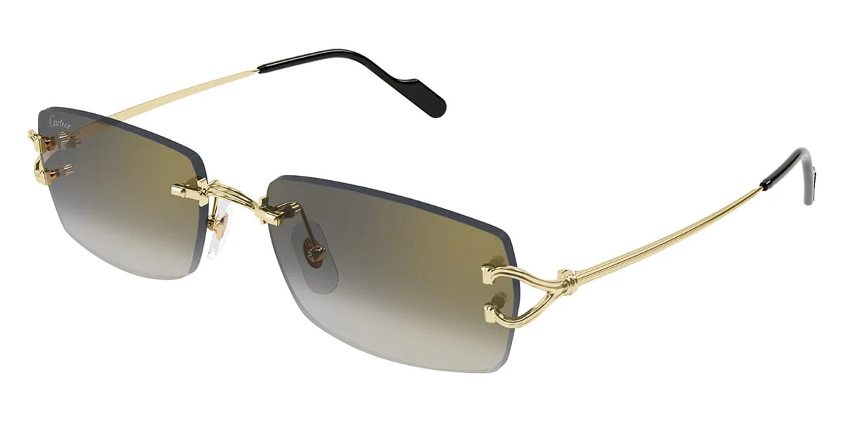 Cartier CT0550S - Image 7