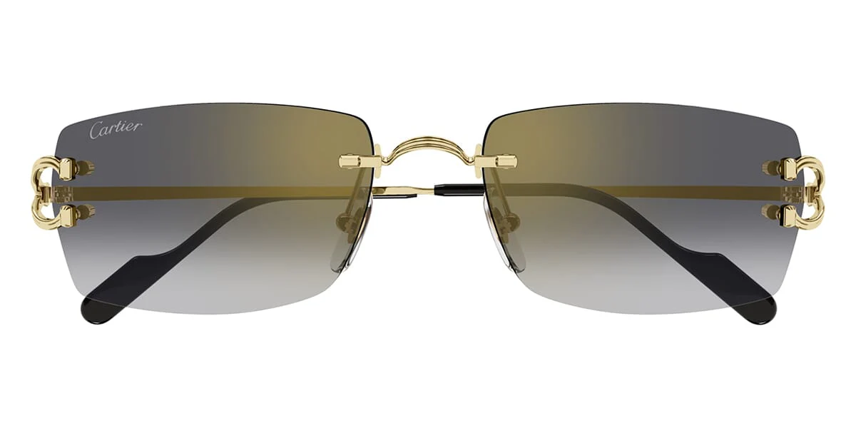 Cartier CT0550S - Image 8