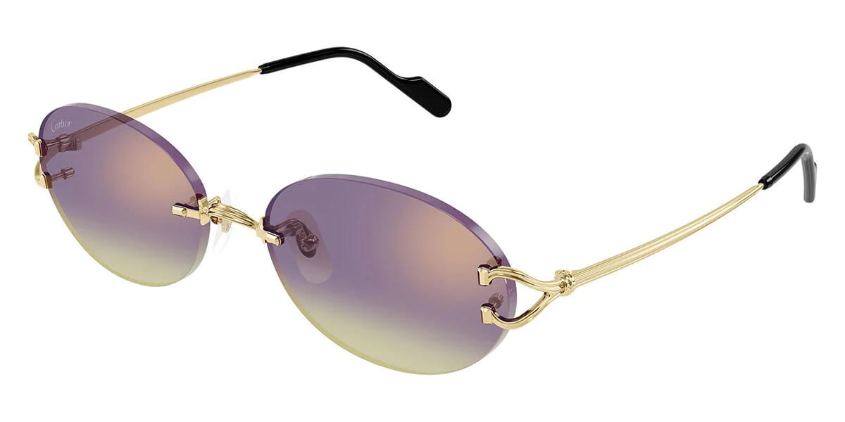Cartier CT0551S - Image 12