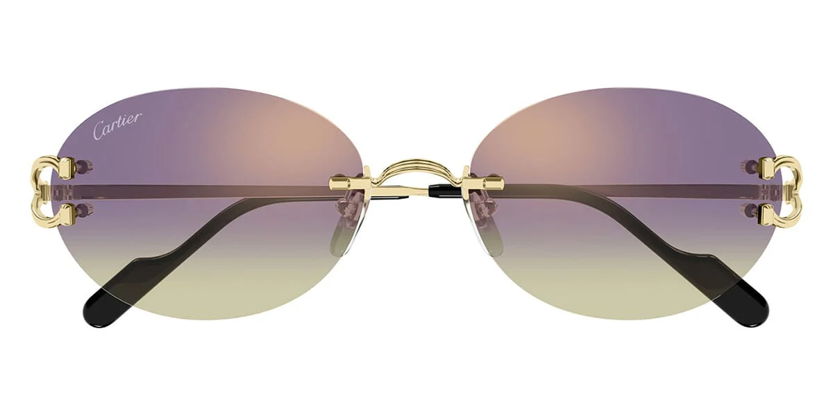Cartier CT0551S - Image 13