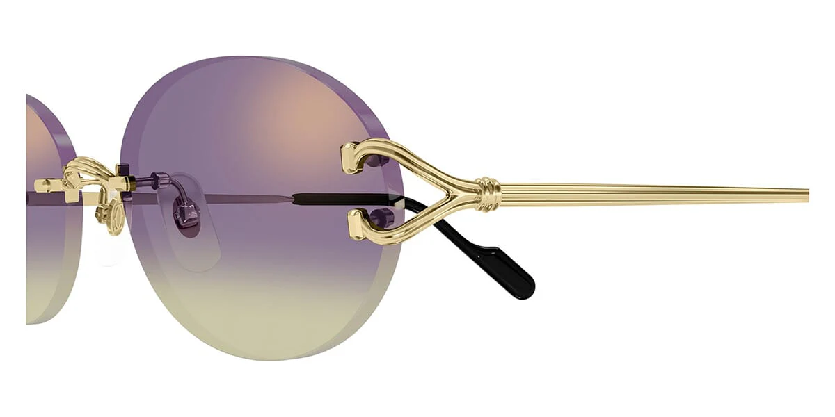 Cartier CT0551S - Image 14
